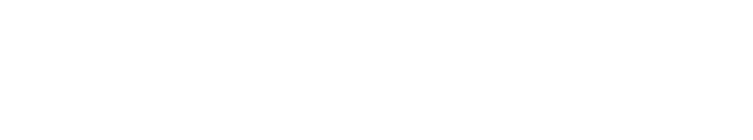 Des Allemands Authority