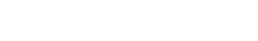 Vermilion Parish Authority